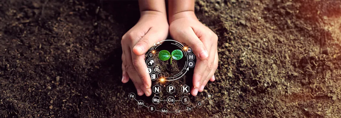 Ефективність гумату NPK