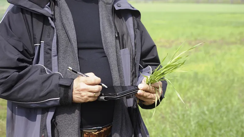 Відгуки від господарств про WormiFarm